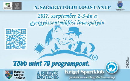 X. Székelyföldi Lovas Ünnep