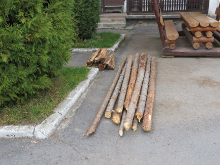 Továbbra sem látni a fától az igazságszolgáltatást!