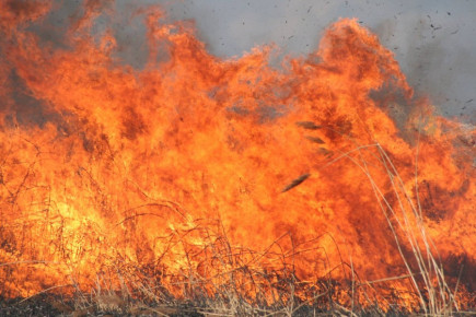 Szigorúan tilos a tarlóégetés