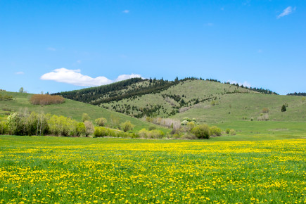 Az egész országban jó idő lesz a május elsejei hosszú hétvégén