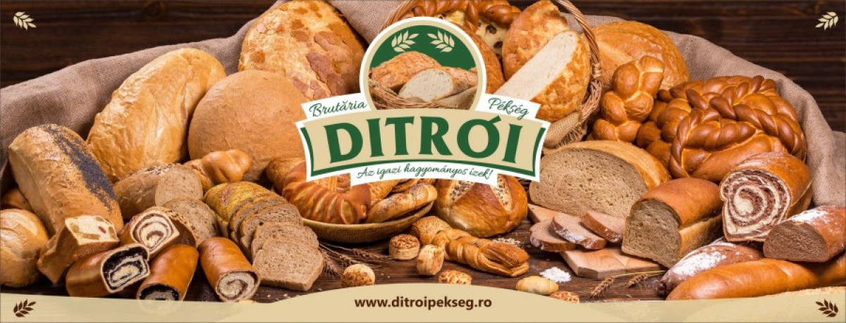 Ditrói vendégmunkások