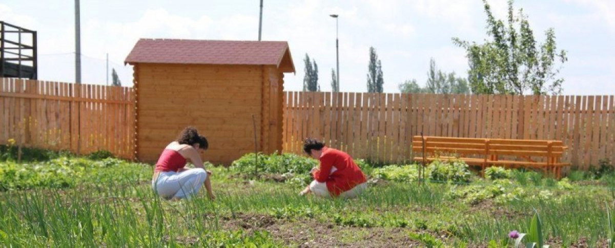 Idén is folytatódik a konyhakert program