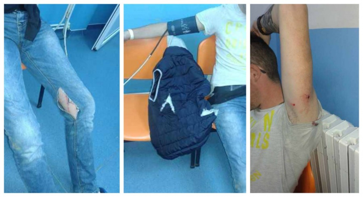 Medvetámadás Tusványoson