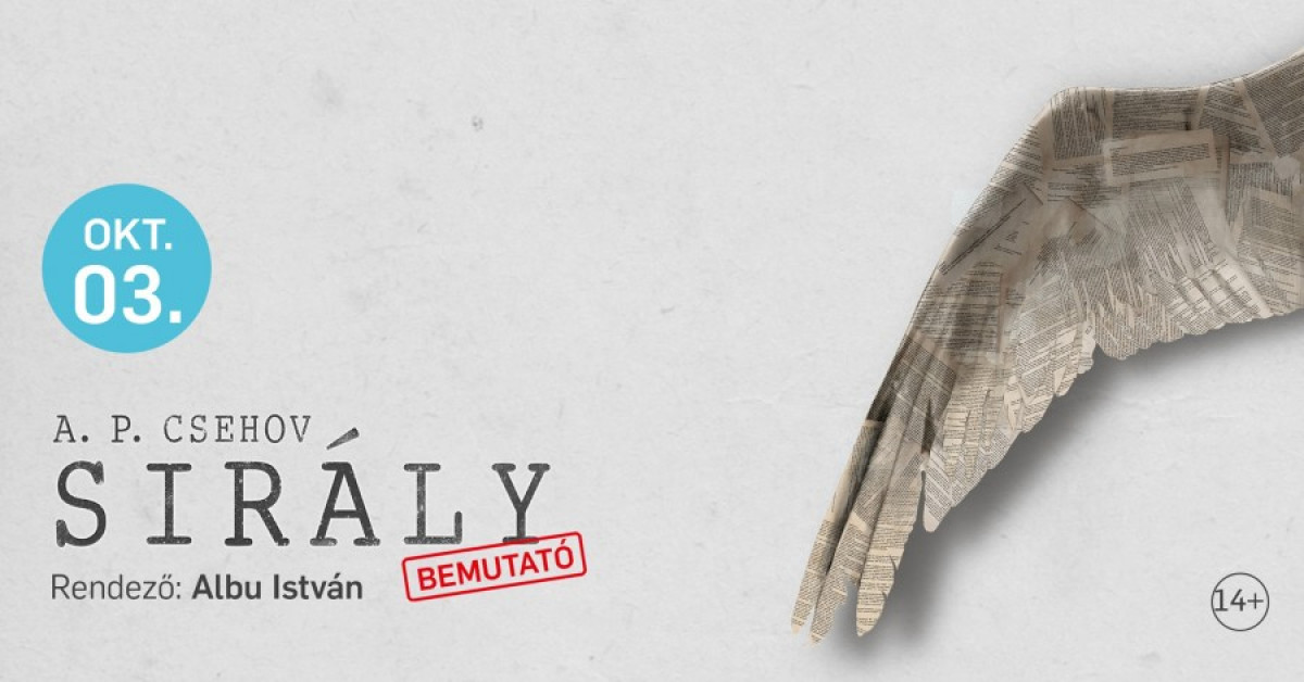 Újra látható a Sirály a Figuránál