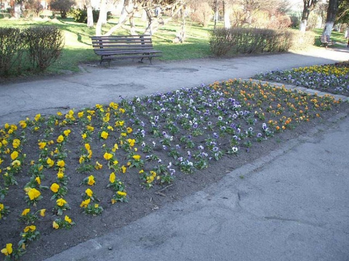 Tavaszi nekirugaszkodás